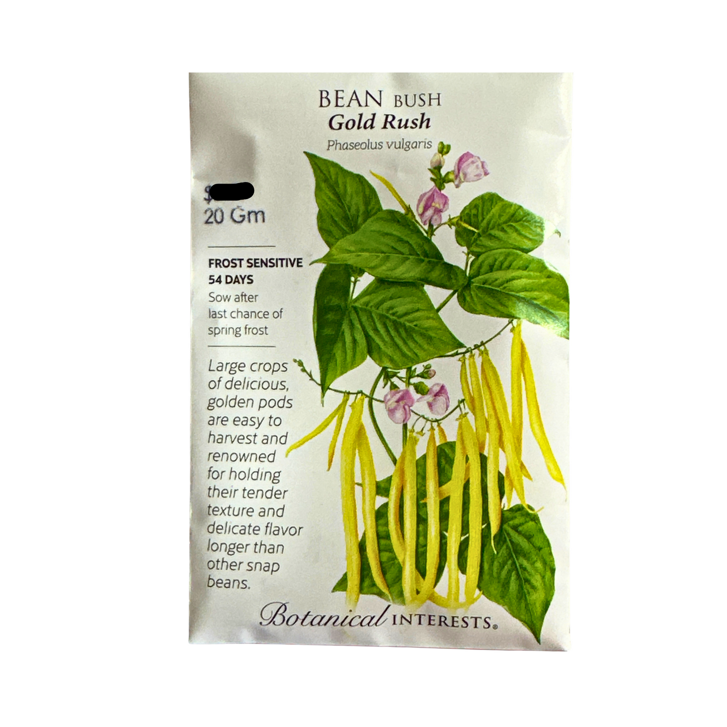 Bean Bush (yellow) Gold Rush