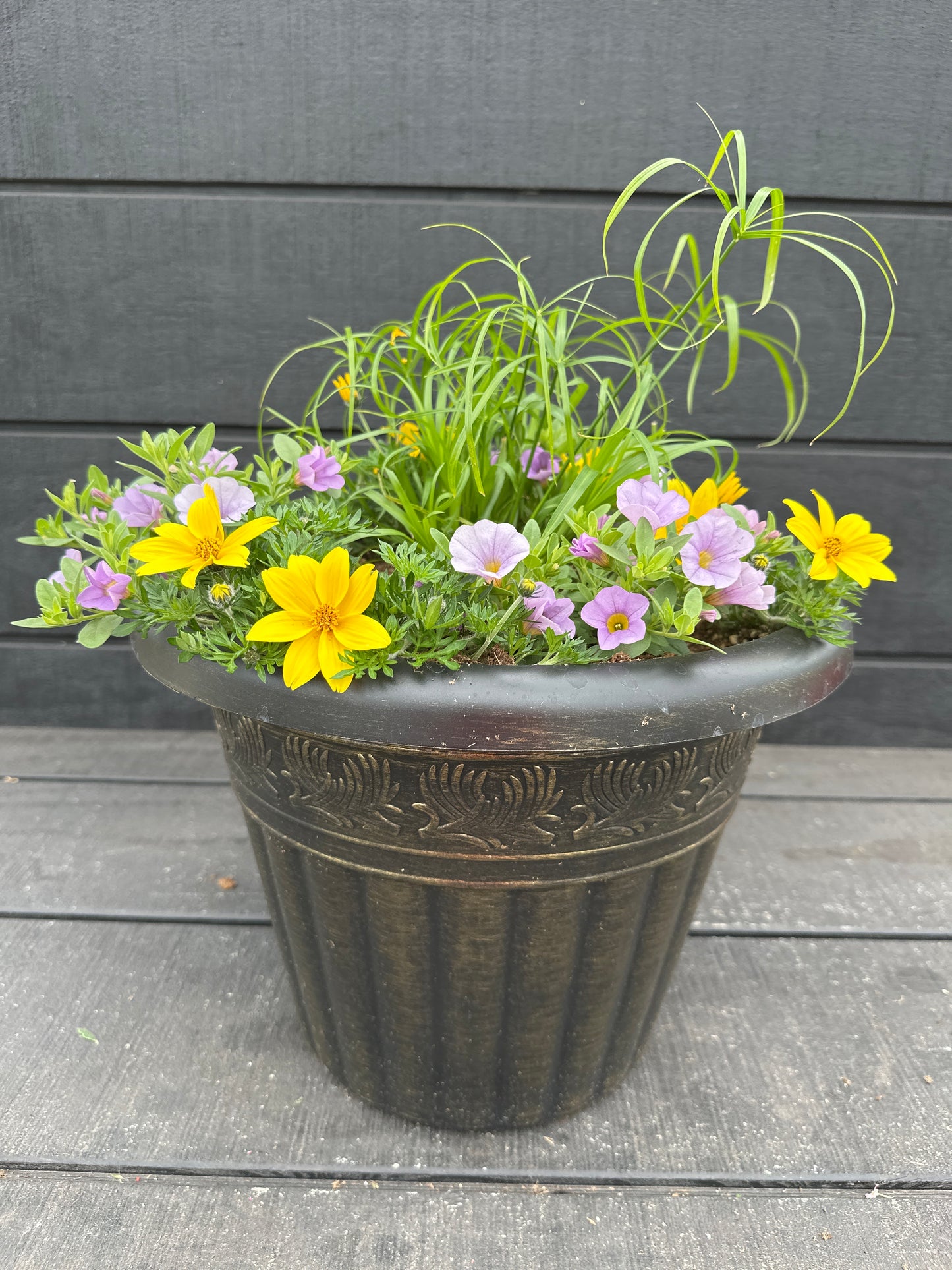 COMBO #6 - 12'' POT