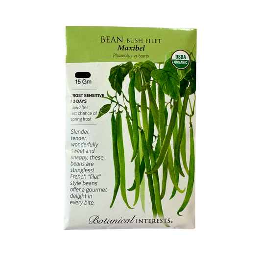 Bean Bush Maxibel Org