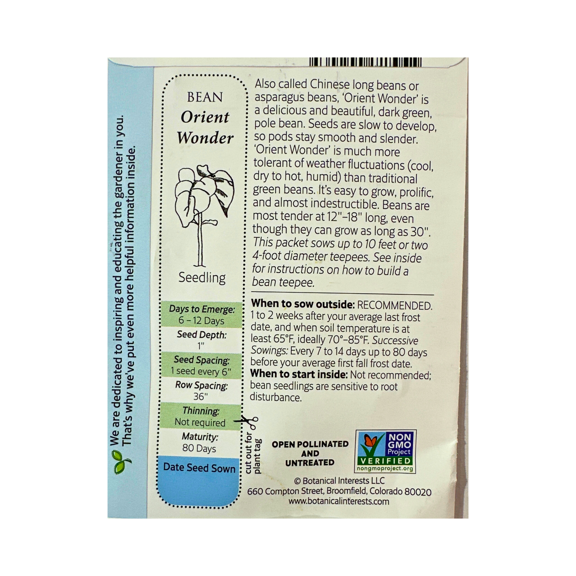 bean seed planting depth Bean Pole YardLongOrientWonder – Deneweth's Garden Center