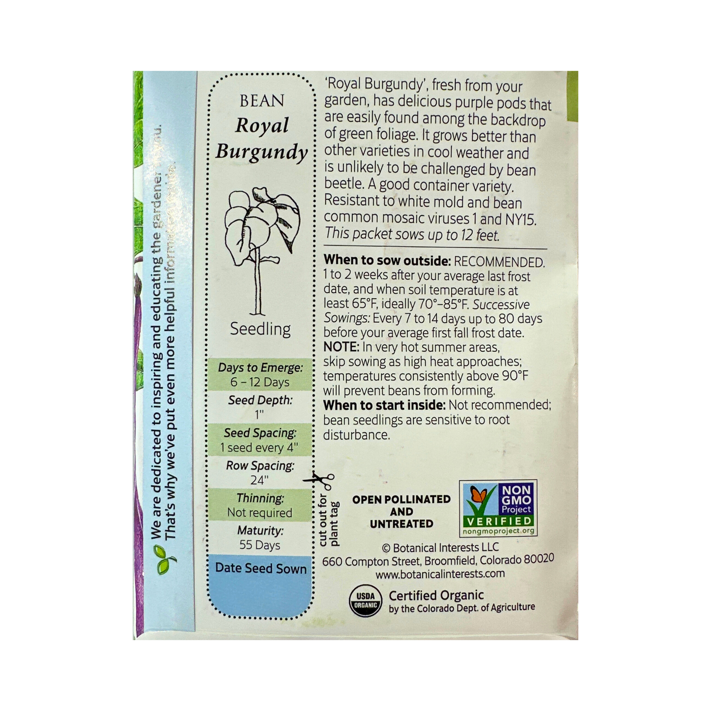 Bean Bush Royal Burgundy Org