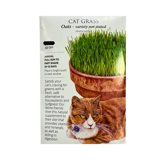 Cat Grass