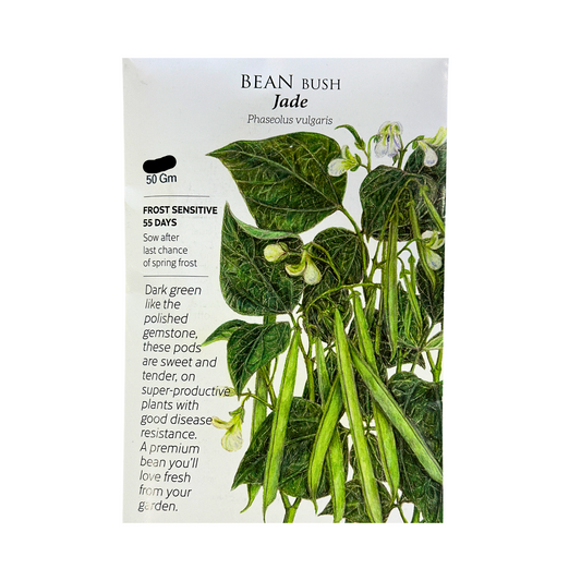Bean Bush (green) Jade