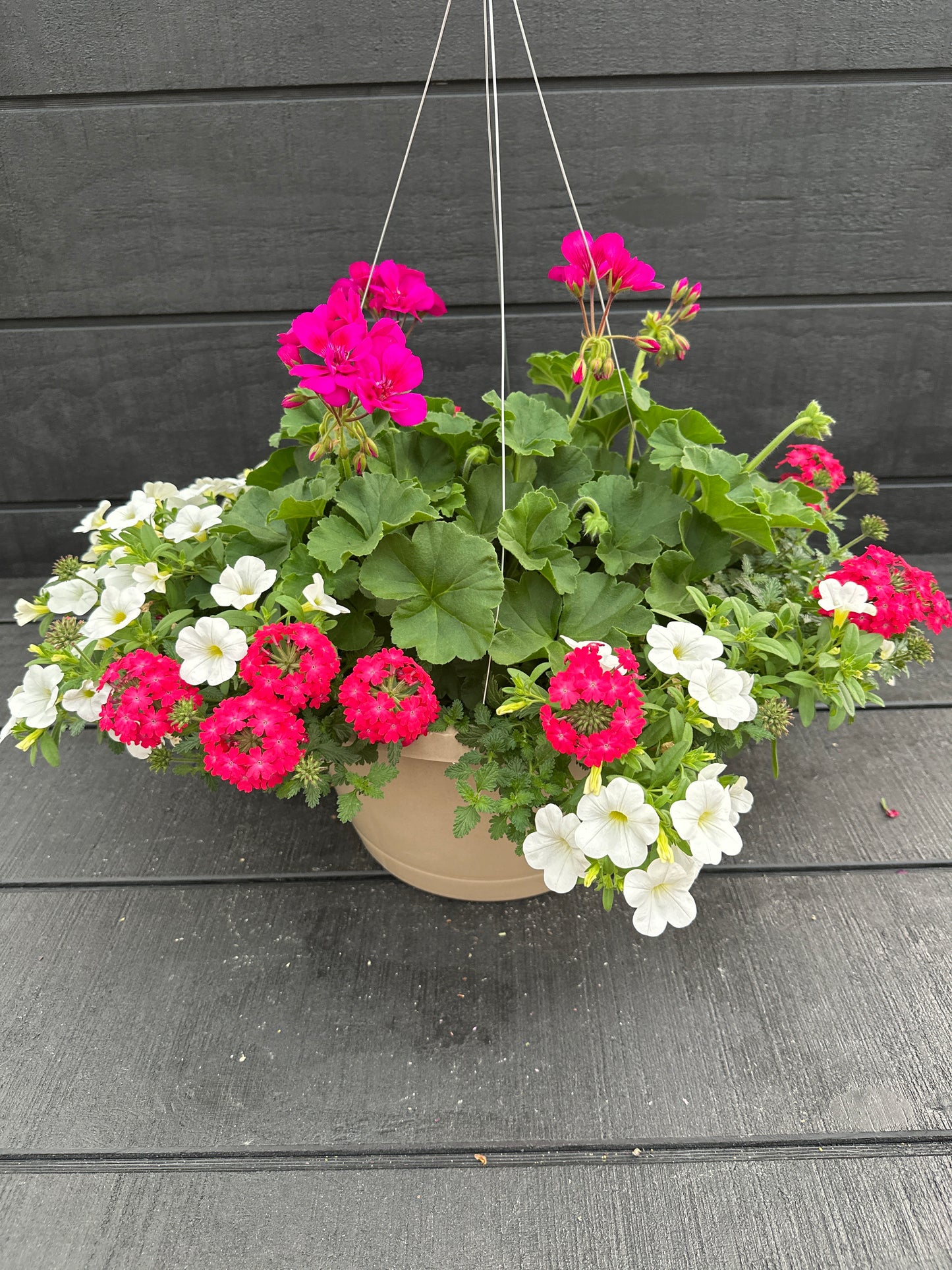 BASKET #95 - 12'' HANGING BASKET