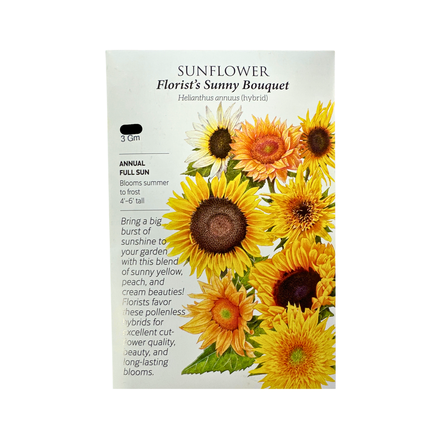 Sunflower Florist's Bouquet hybrid