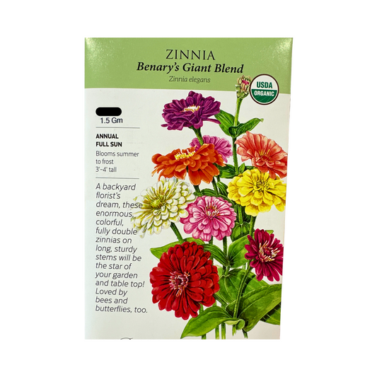 Zinnia Benary's Giant Blend Org
