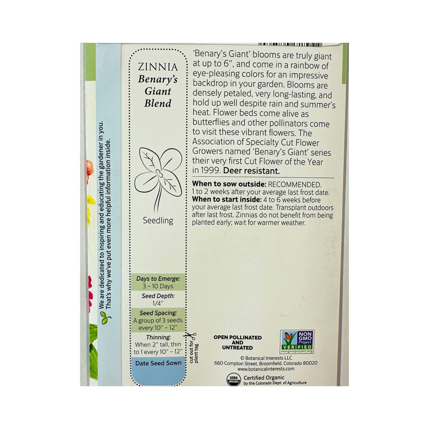 Zinnia Benary's Giant Blend Org