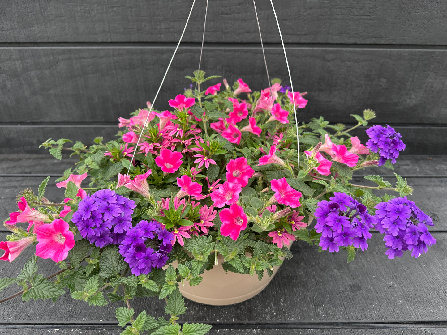 BASKET #97 - 12'' HANGING BASKET