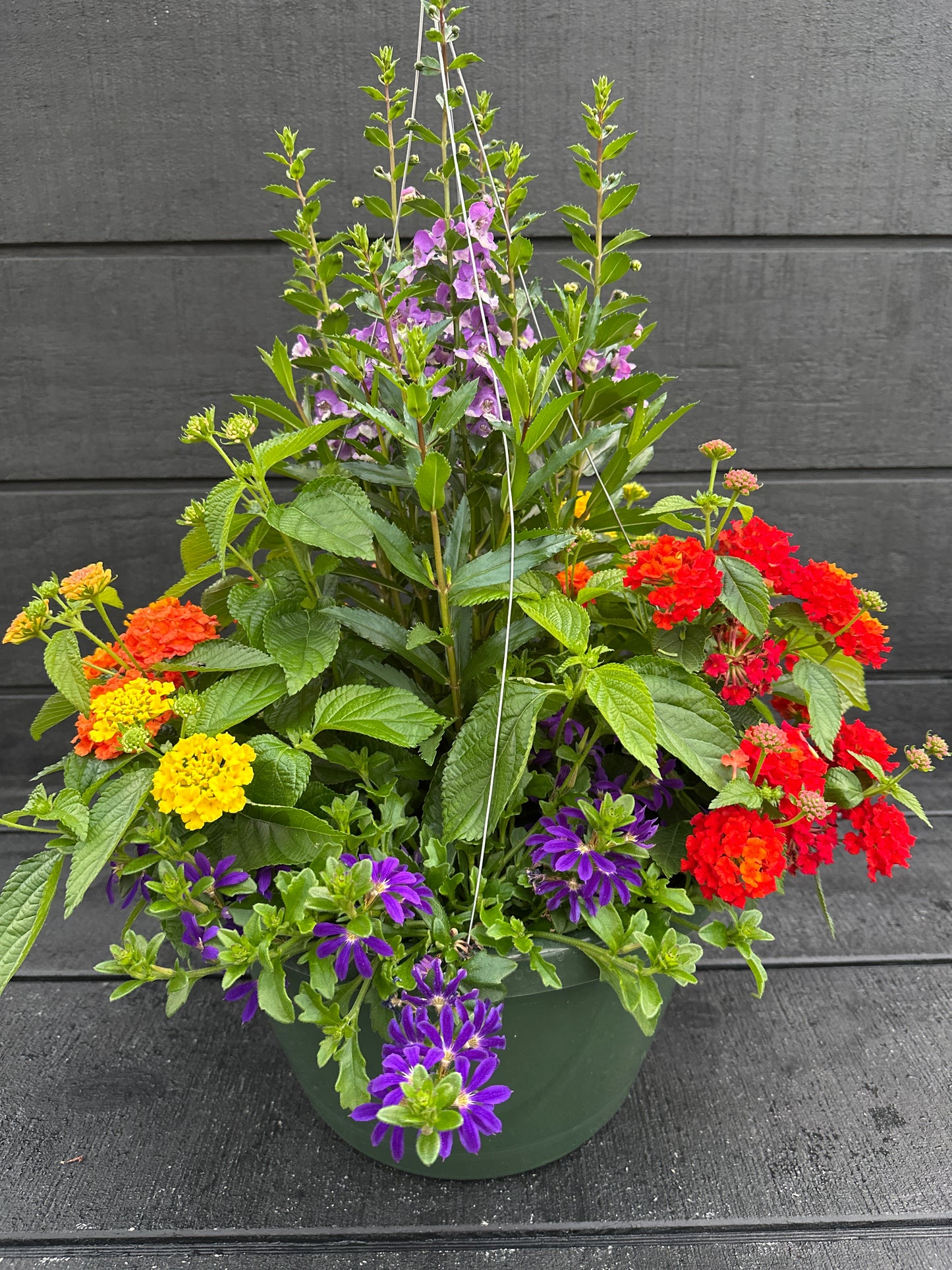 BASKET #85 - 12" HANGING BASKET