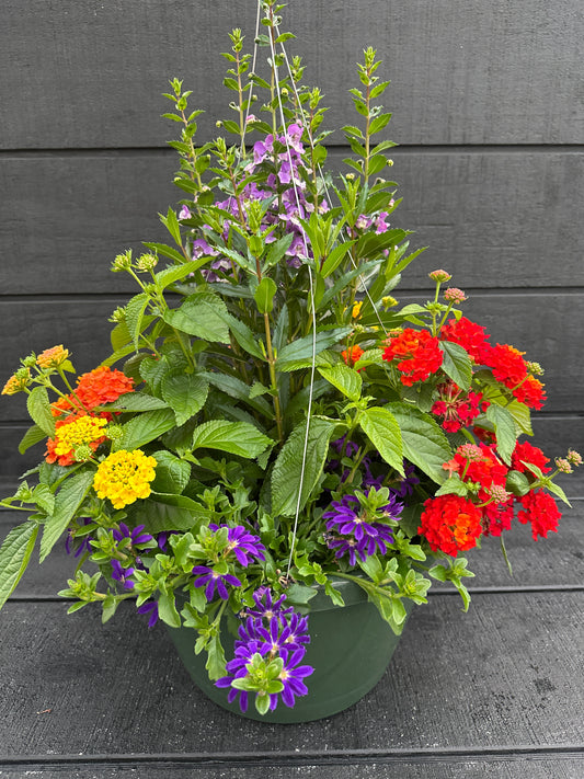 BASKET #85 - 12" HANGING BASKET