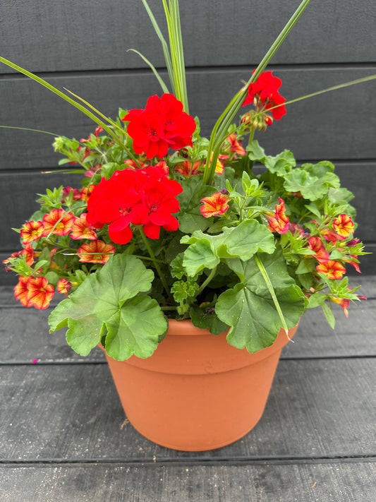 COMBO #78 - 12'' POT