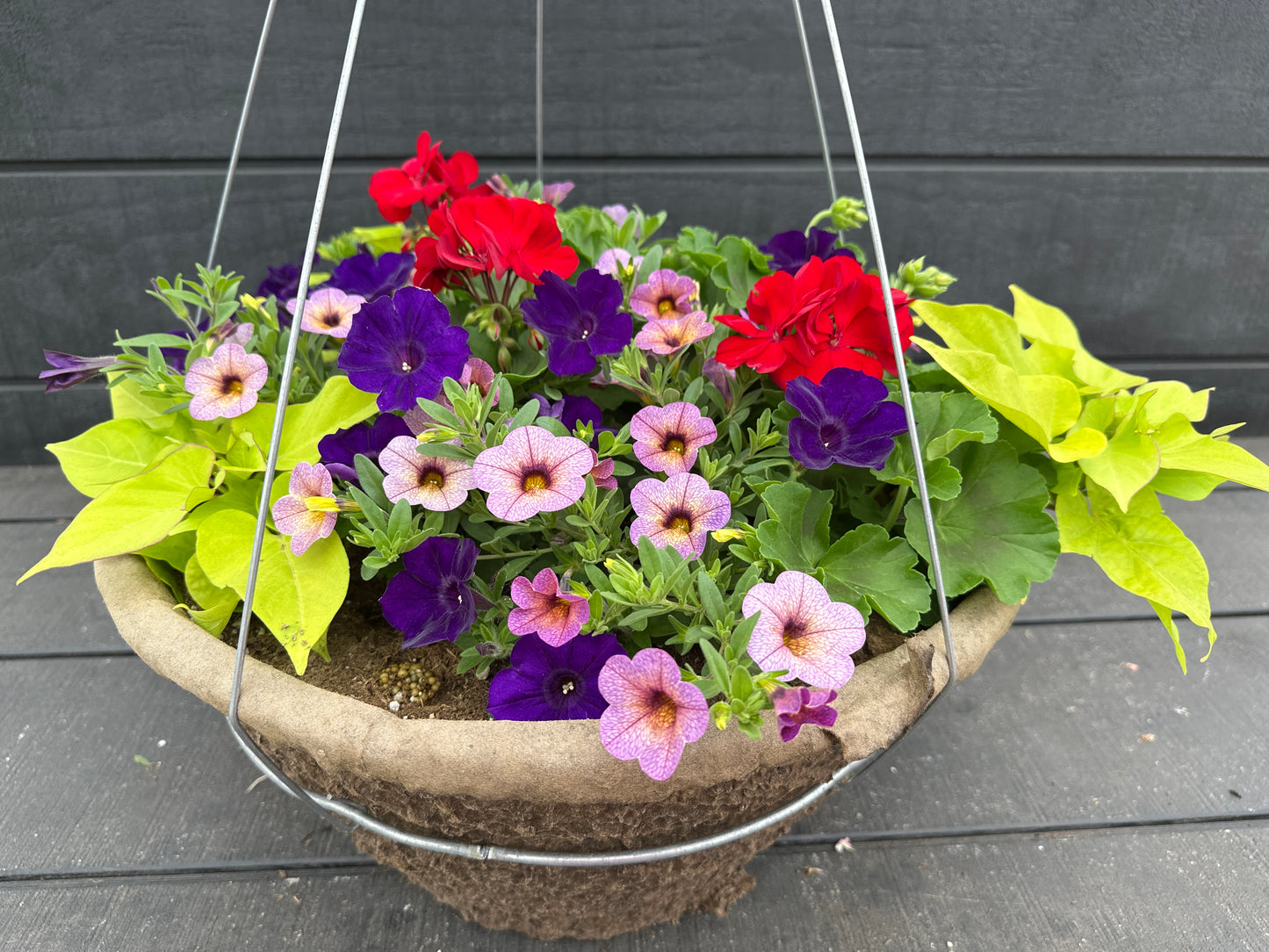 BASKET #11 - 16" HANGING BASKET