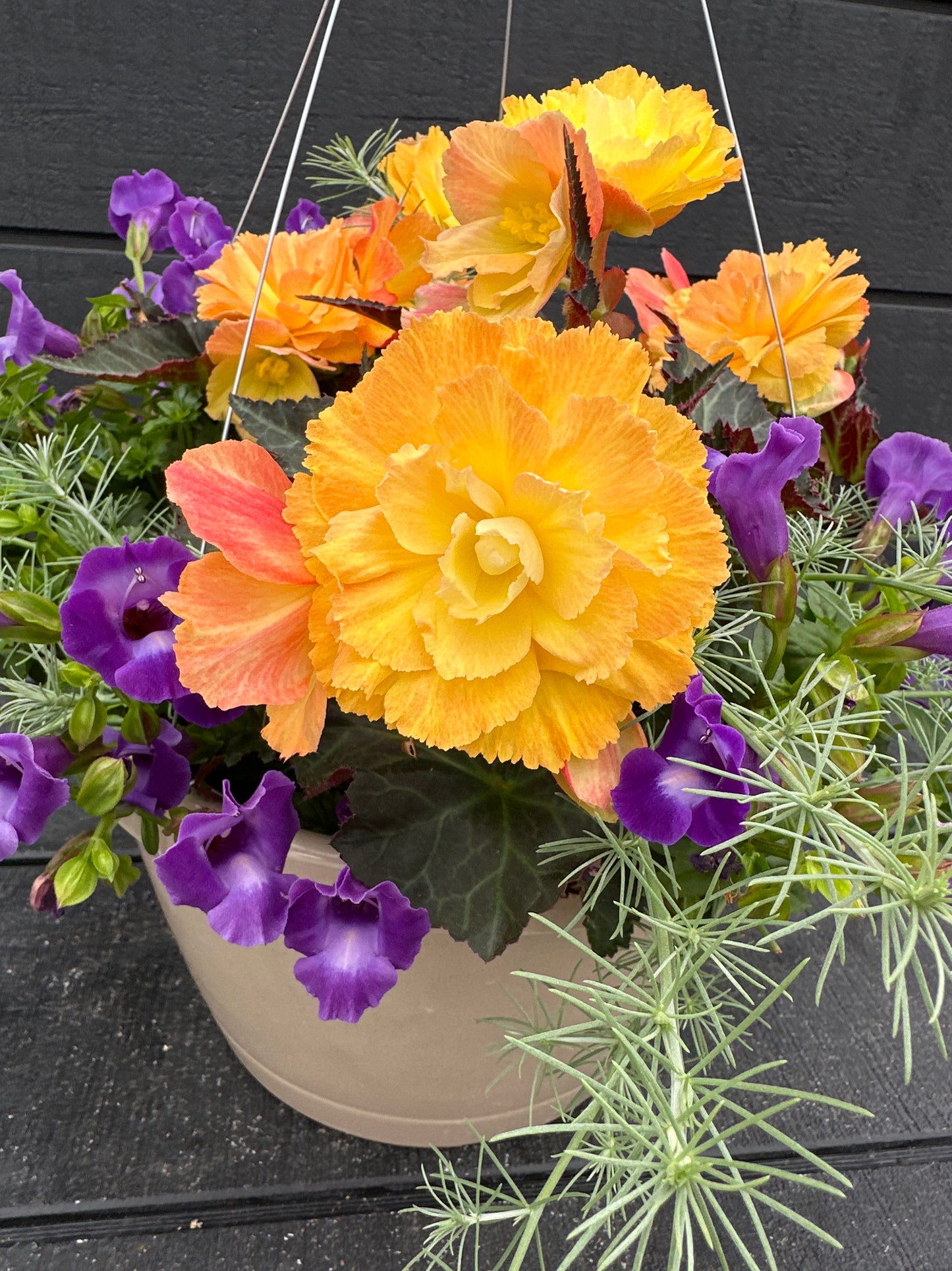 BASKET #6 - 12" HANGING BASKET