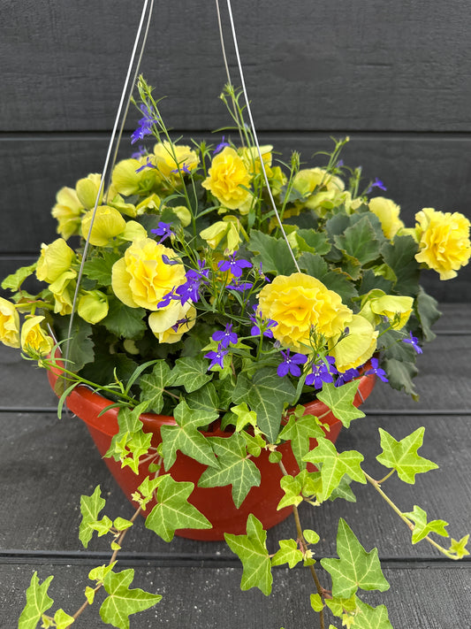 BASKET #83 - 12" HANGING BASKET