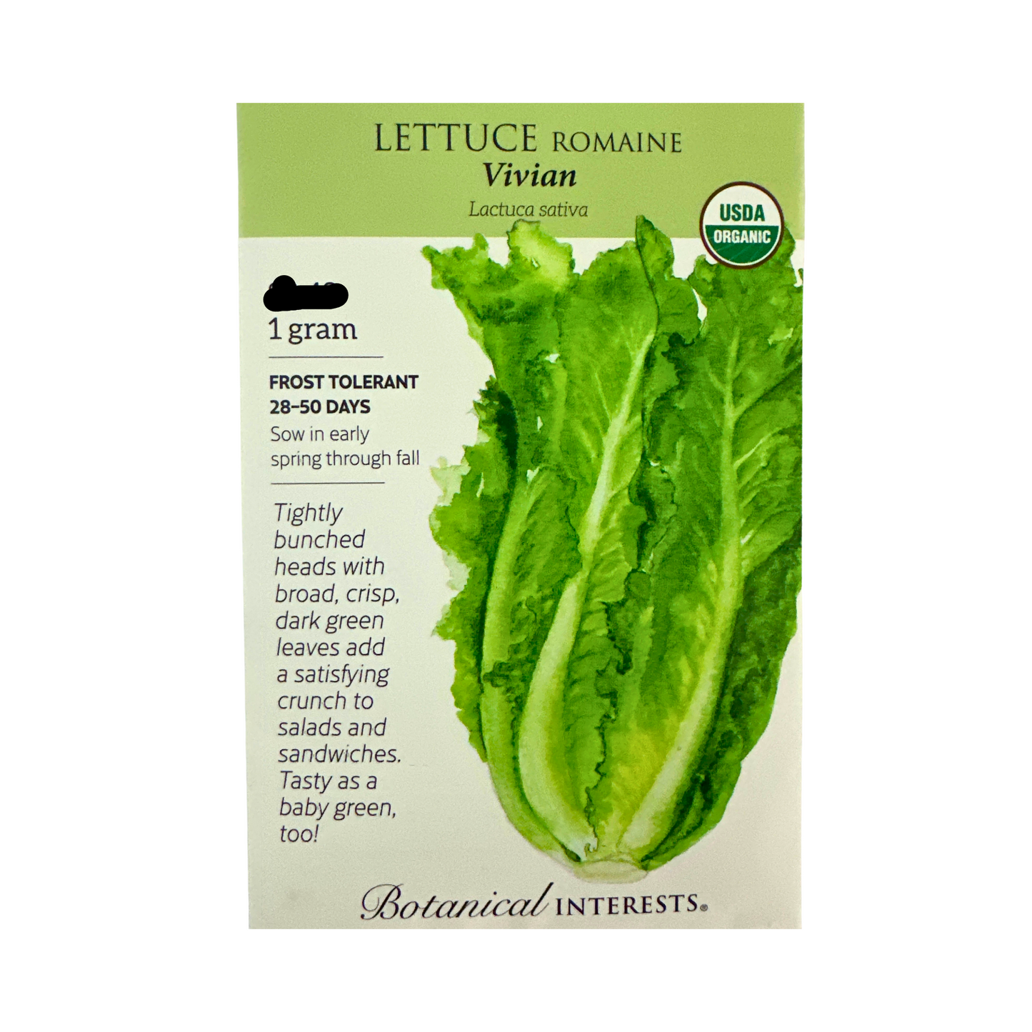 Lettuce Romaine Vivian Org