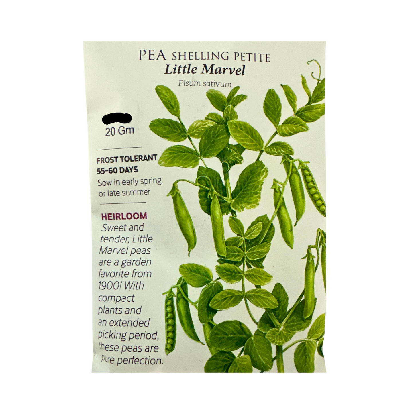 Pea Shelling Petite Little Marvel