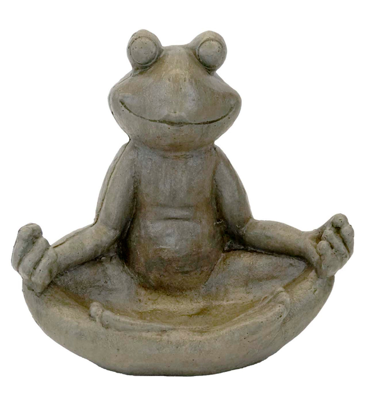 Pop-eyed Meditating Frog