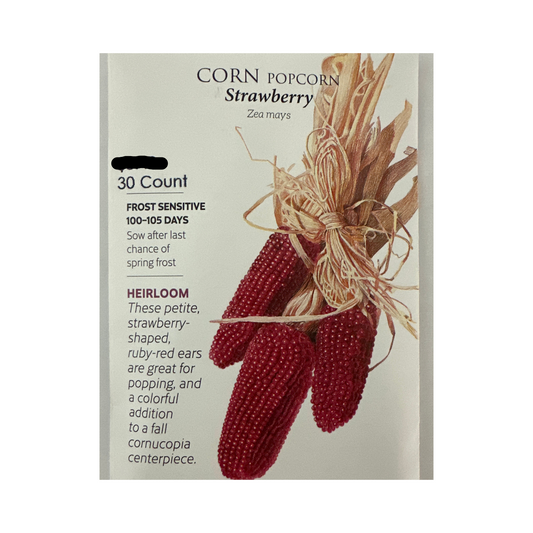 Corn Popcorn Strawberry