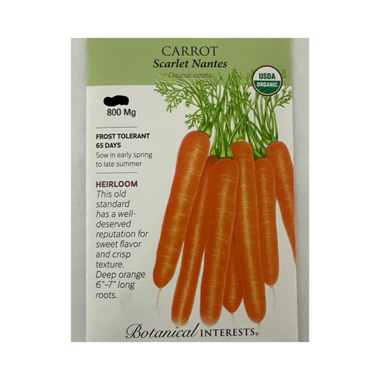 Carrot Scarlet Nantes Org