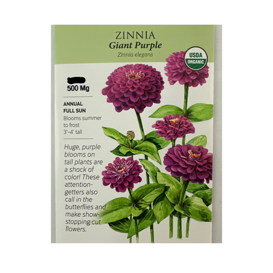 Zinnia Giant Purple Org