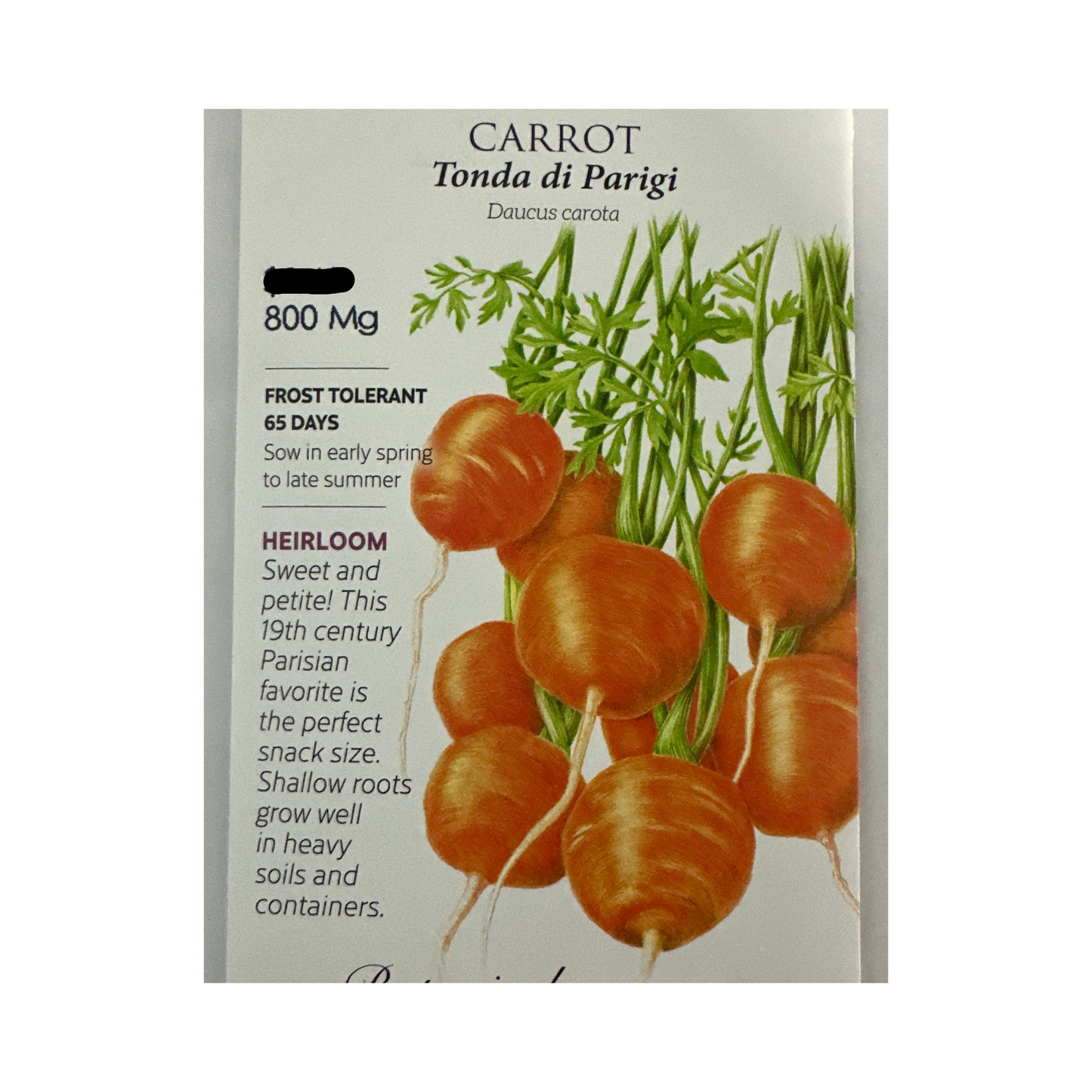 Carrot Tonda di Parigi