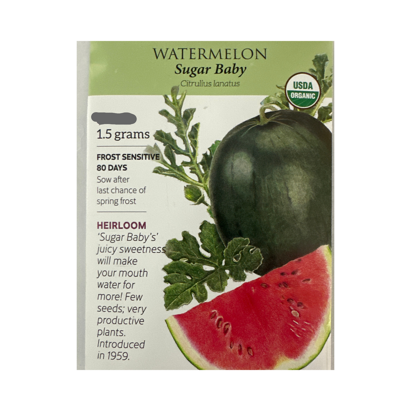 Watermelon Sugar Baby Org