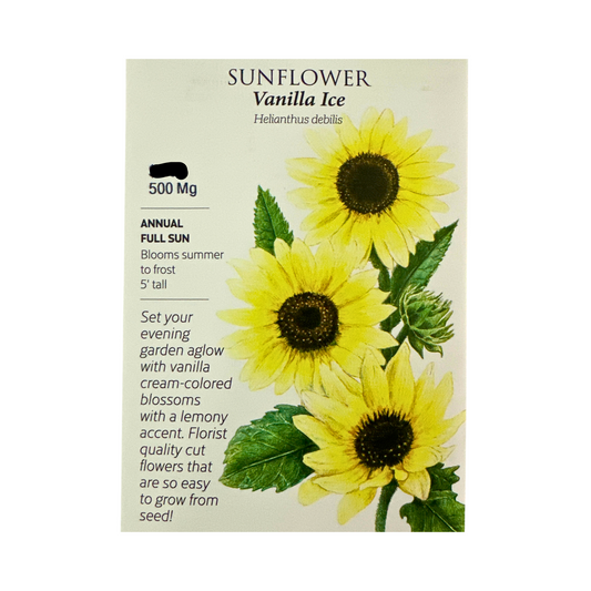 Sunflower Vanilla Ice