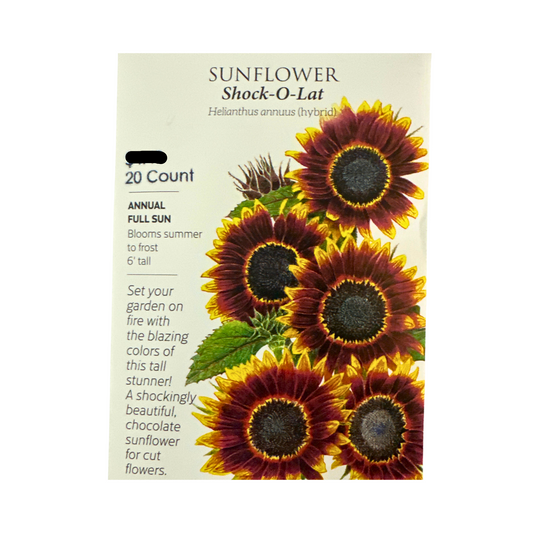 Sunflower Shock O Lat