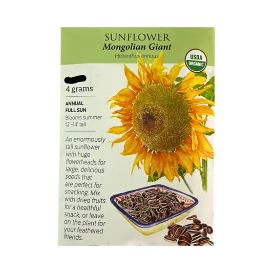 Sunflower Mongolian Giant ORG