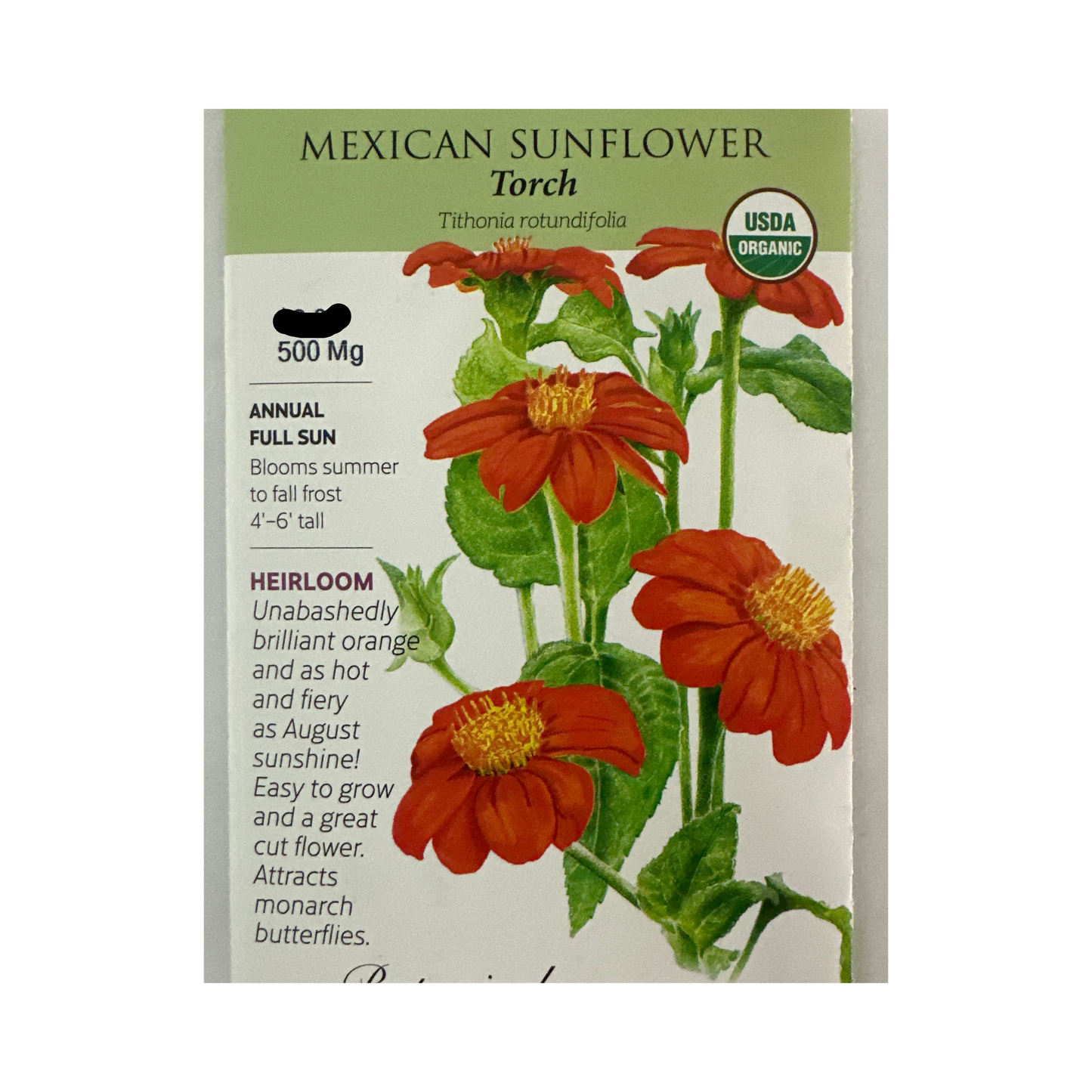 Sunflower Mexican Torch Org