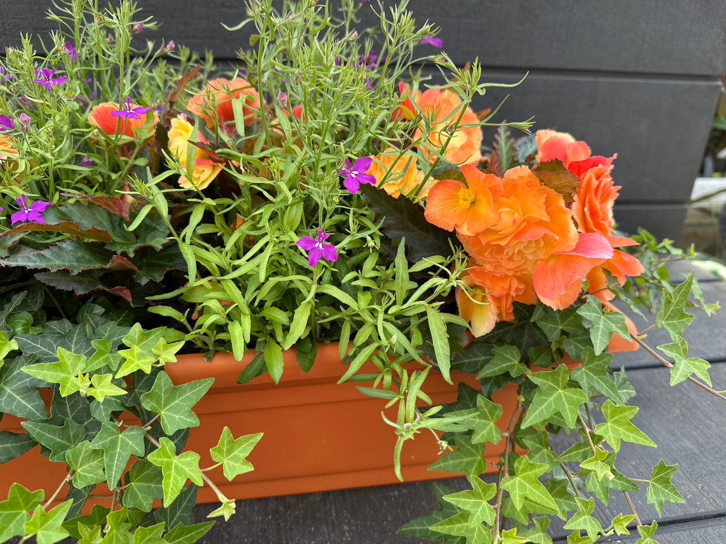 COMBO #13 - 30'' WINDOW BOX