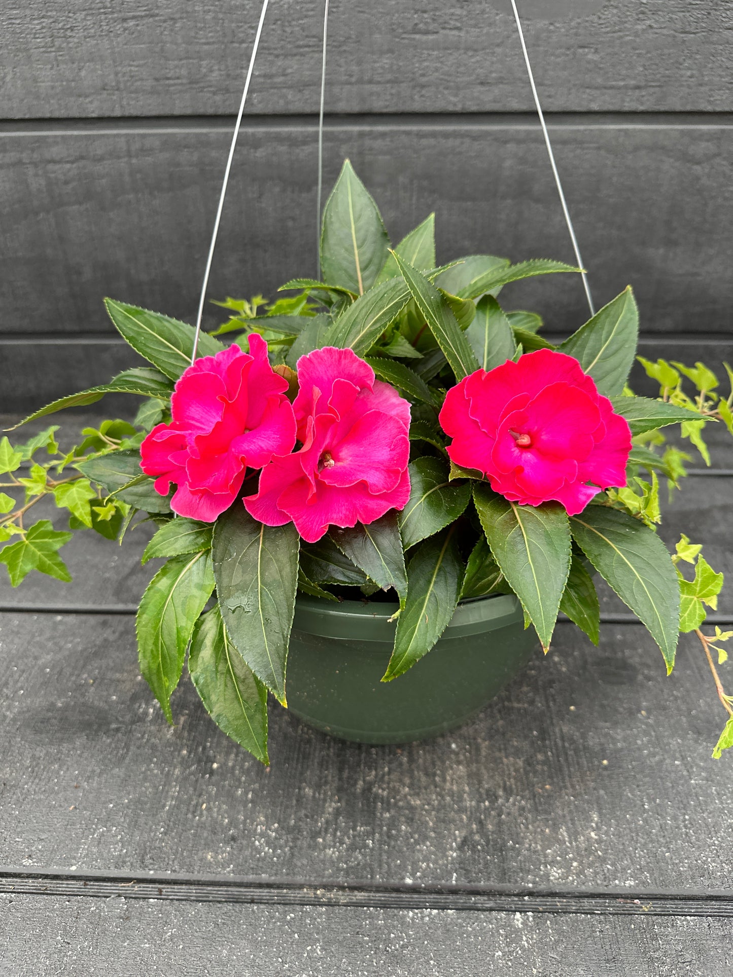 BASKET #35 - 10'' HANGING BASKET