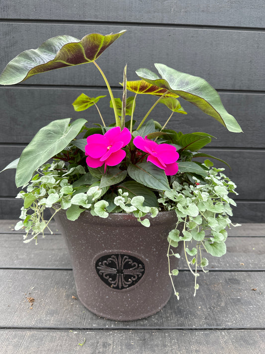 COMBO #38 - 14" POT