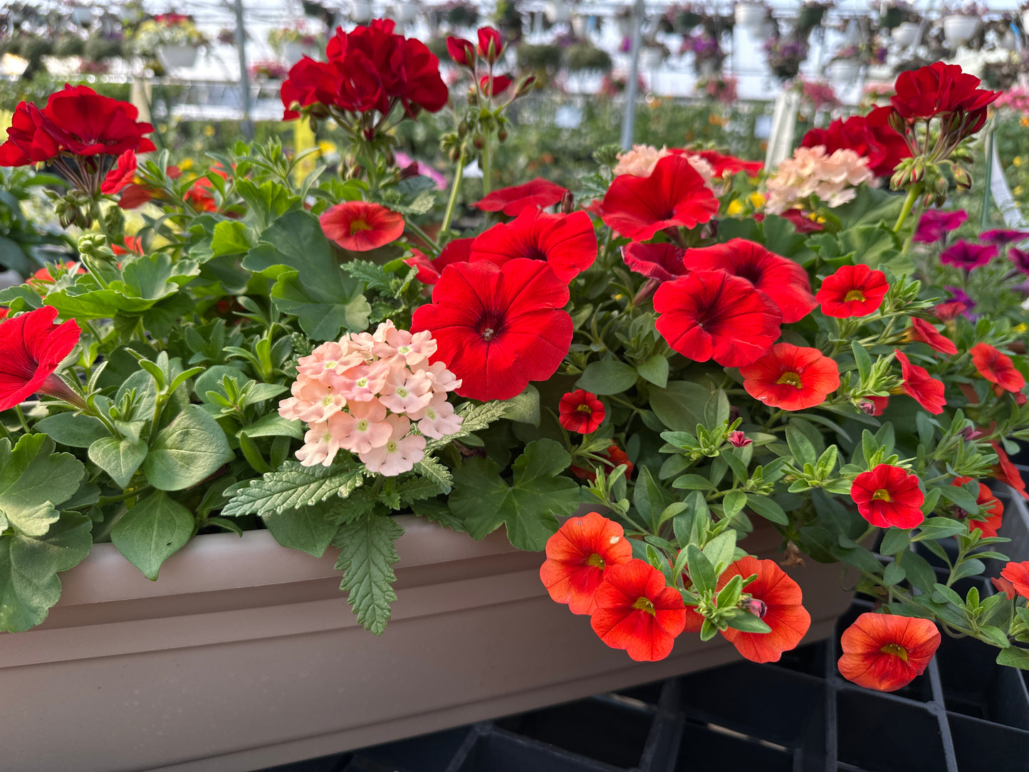 COMBO #28 - 24" WINDOW BOX