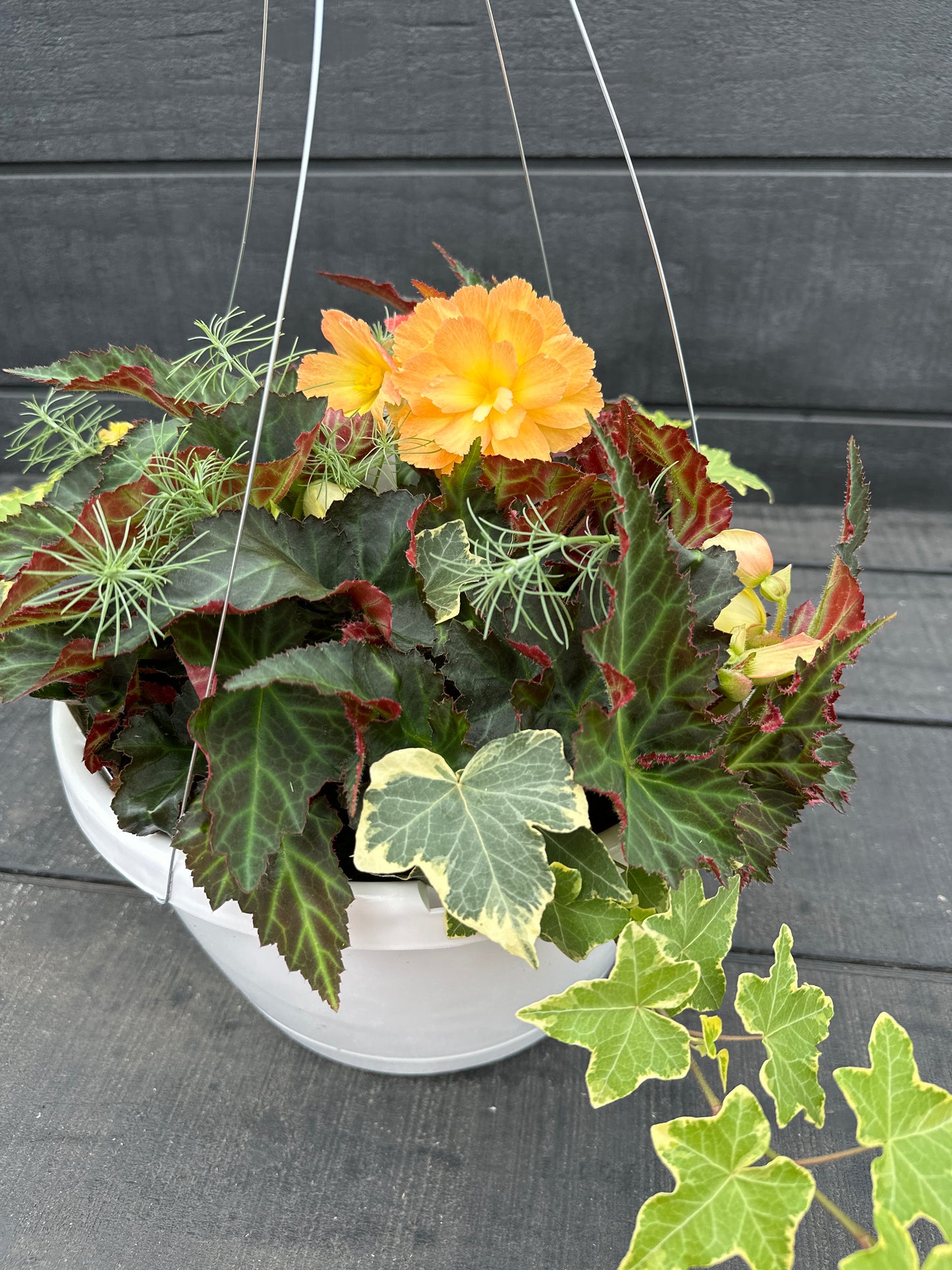 BASKET #6 - 12'' HANGING BASKET