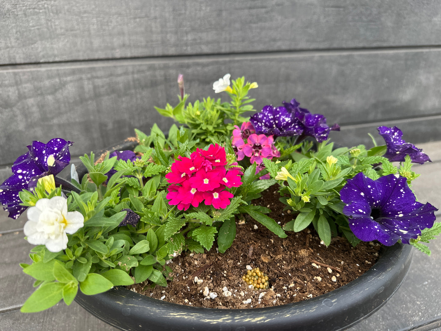 COMBO #100 - 12" POT