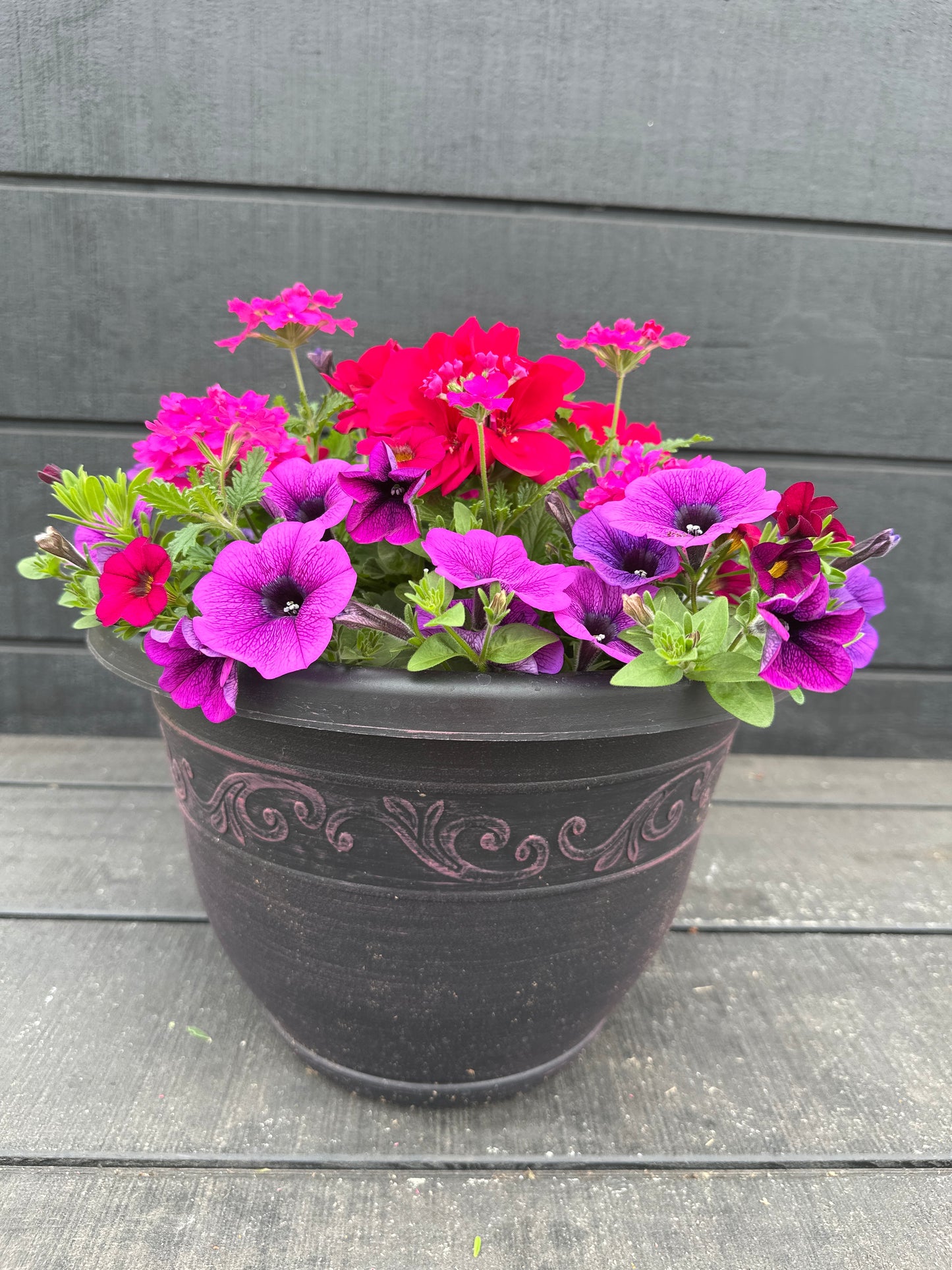 COMBO #61 - 12" POT