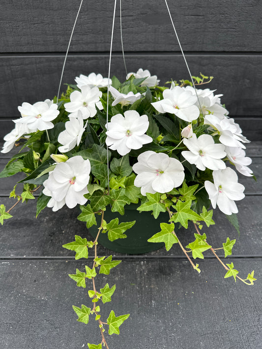 BASKET #41 - 12" HANGING BASKET