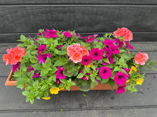 COMBO #1 - 24'' WINDOW BOX