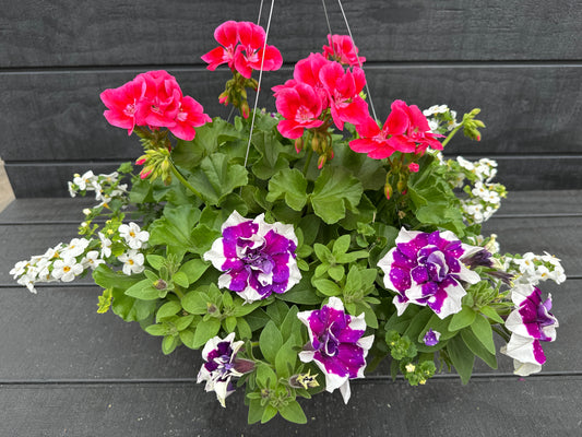 BASKET #68 - 12" HANGING BASKET