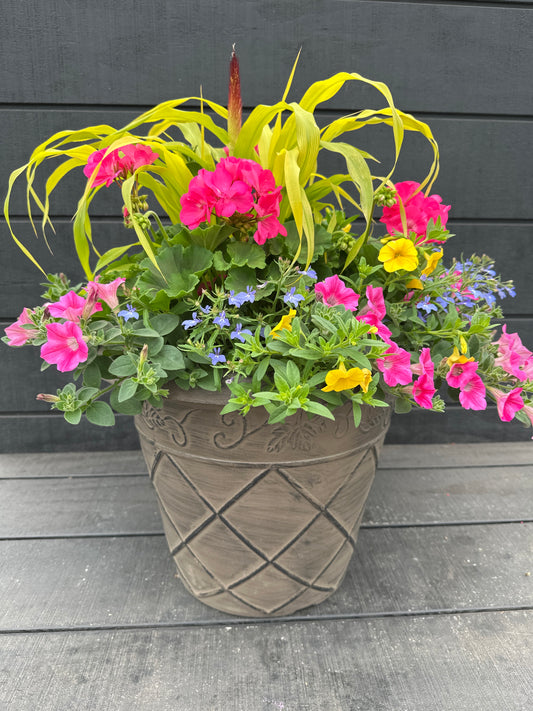 COMBO #6 - 16'' POT