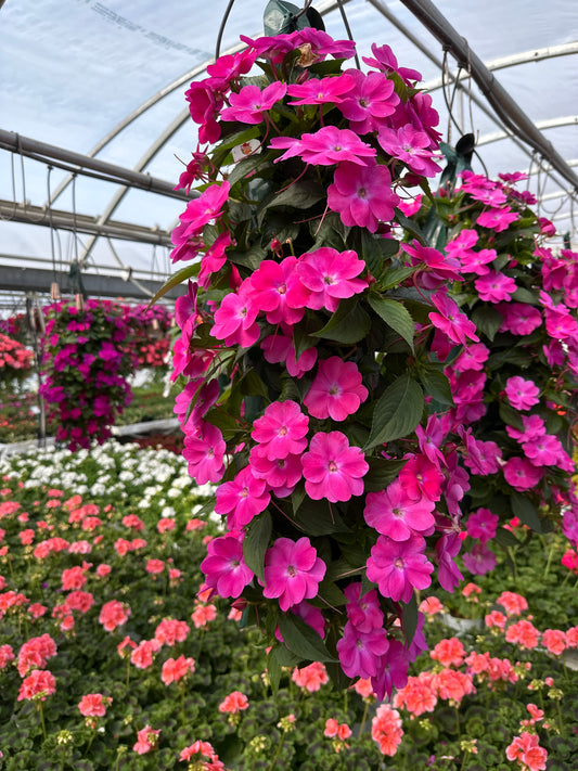 SUNPATIENS COMPACT HOT PINK - FLOWER BAG
