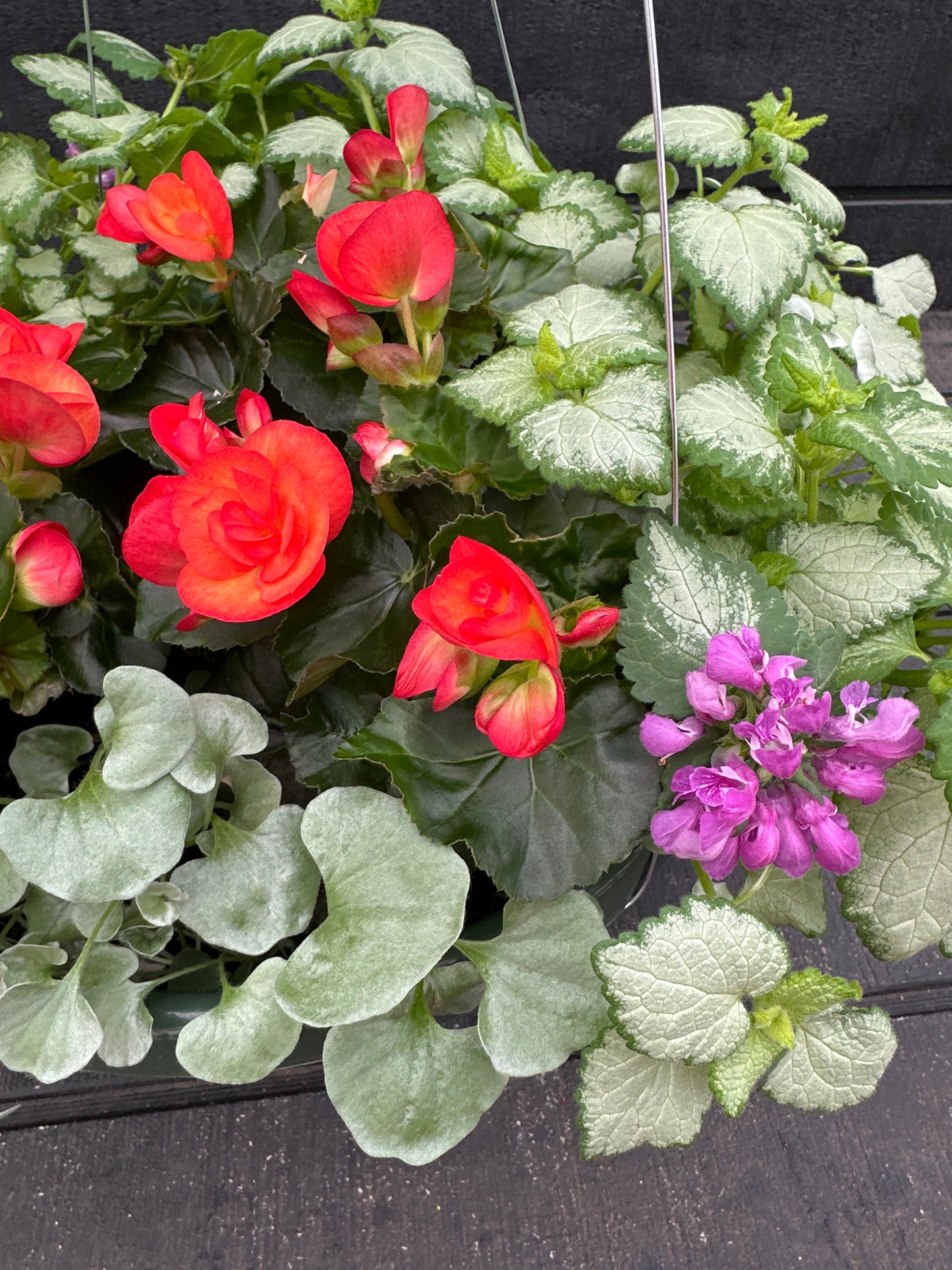 BASKET #76 - 12'' HANGING BASKET
