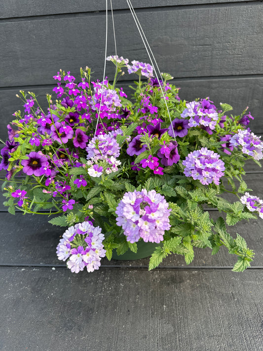 COMBO SPARKLE AND GLOW - 12" HANGING BASKET