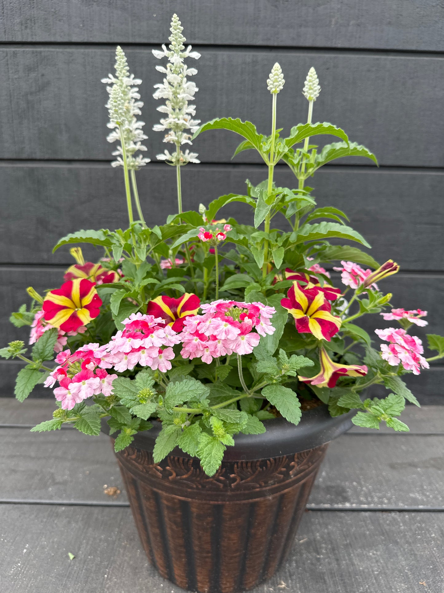 COMBO #14 - 12'' POT