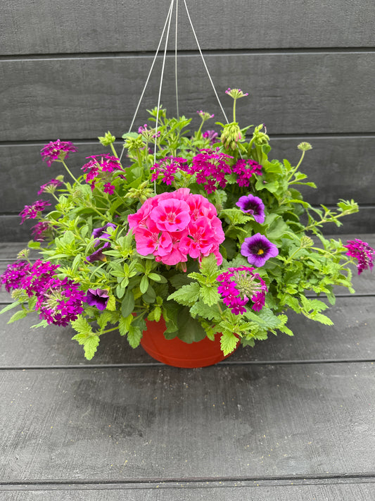 BASKET #28 - 12" HANGING BASKET