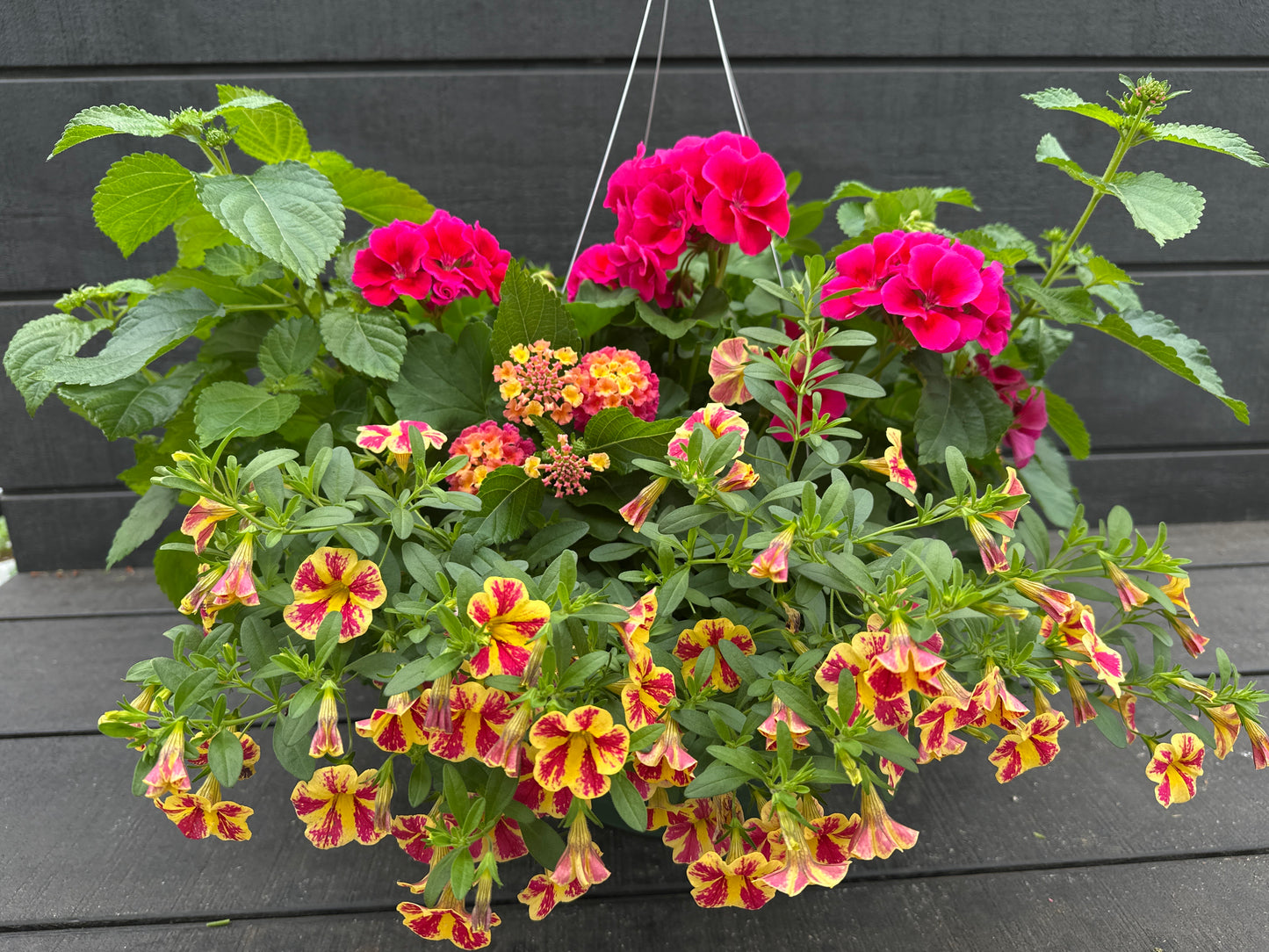 BASKET #101 - 12" HANGING BASKET