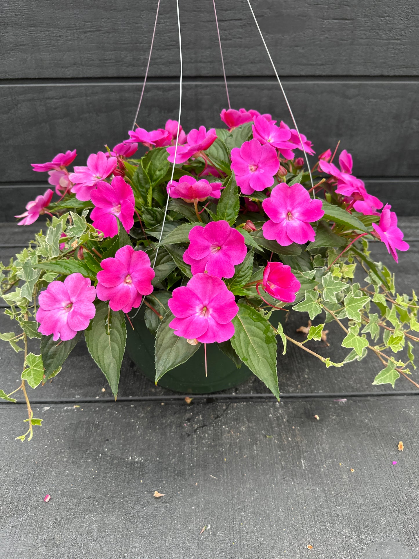 BASKET #78 - 12'' HANGING BASKET