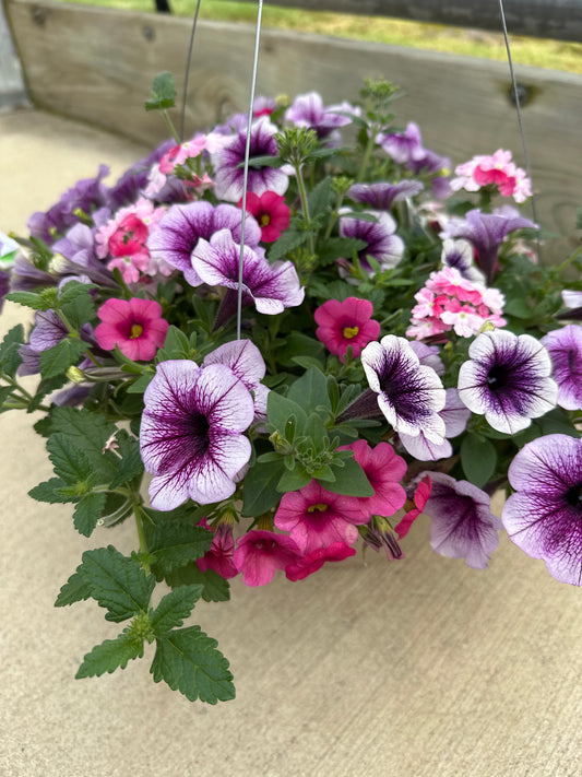 BASKET #29 - 10'' HANGING BASKET