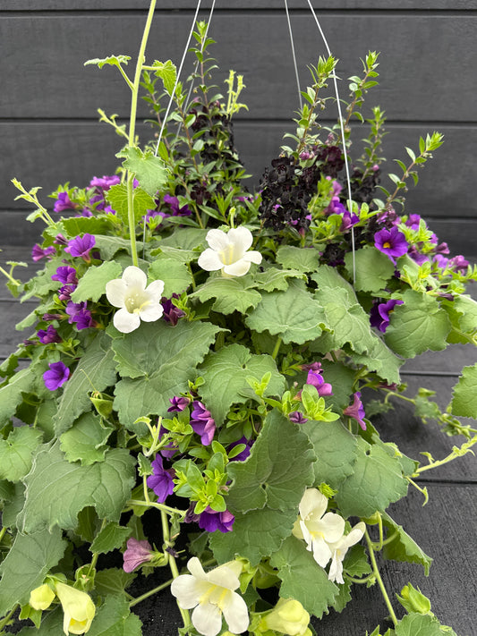 BASKET #96 - 12" HANGING BASKET